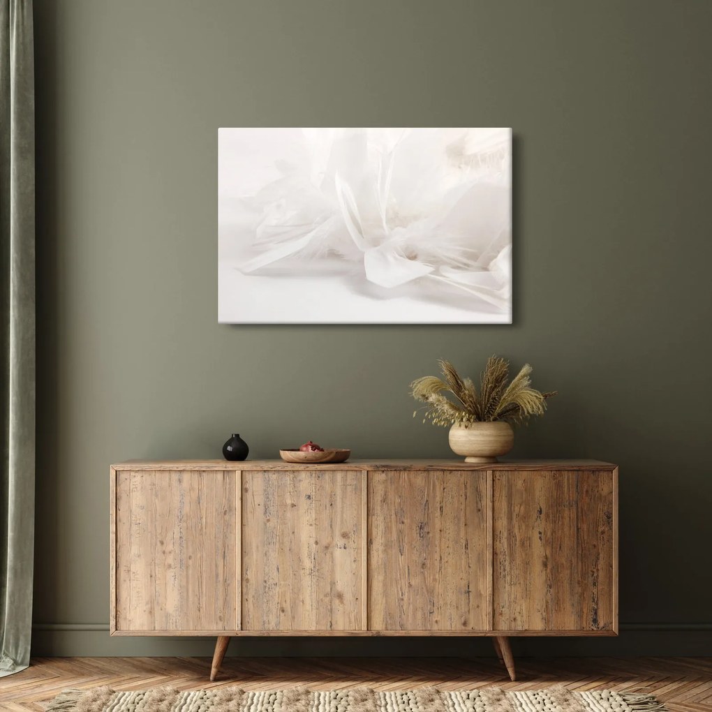 Obraz - Perie (90x60 cm)