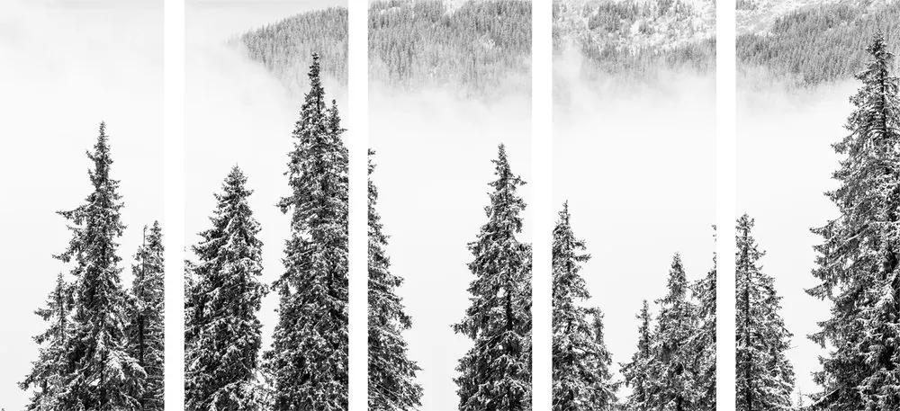 5-dielny obraz zasnežené borovicové stromy v čiernobielom prevedení - 100x50