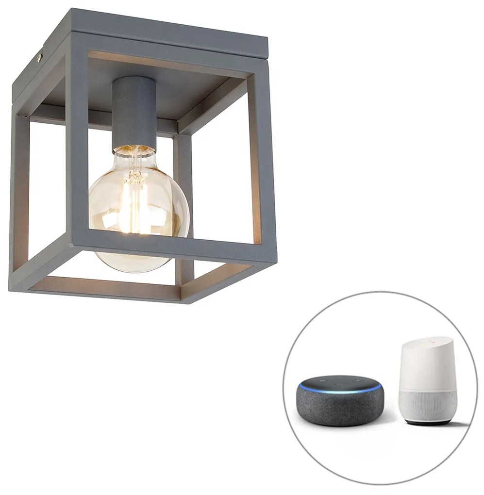 Priemyselné inteligentné stropné svietidlo tmavosivé vrátane Wifi G95 - Cage