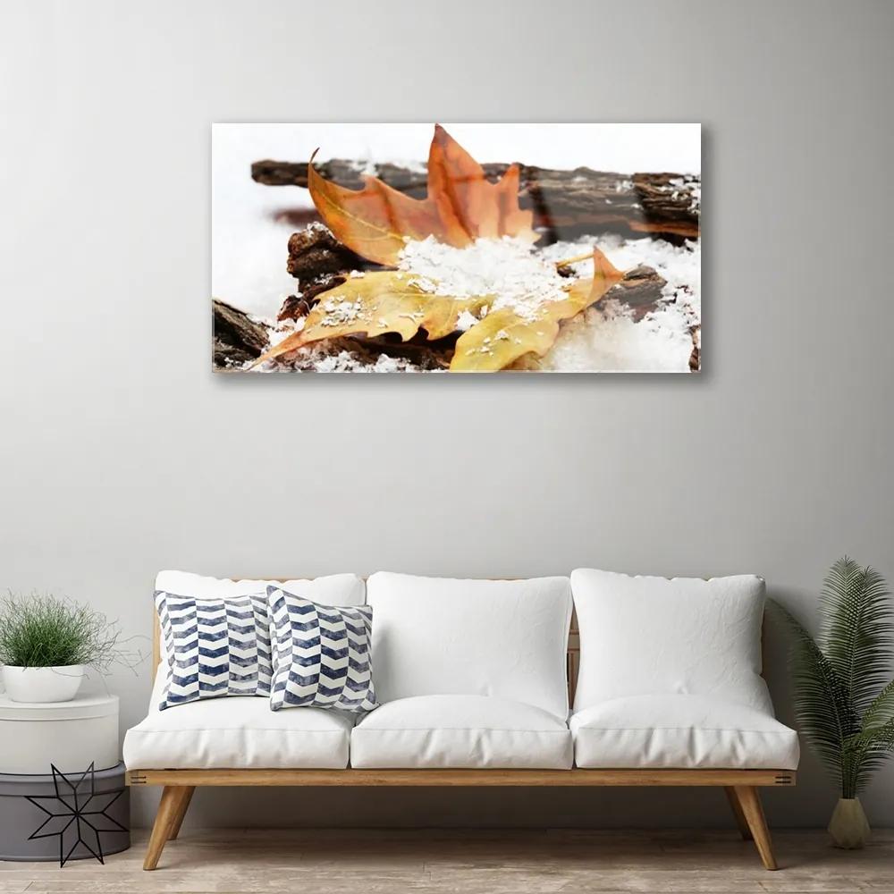 Skleneny obraz List les jeseň príroda 125x50 cm