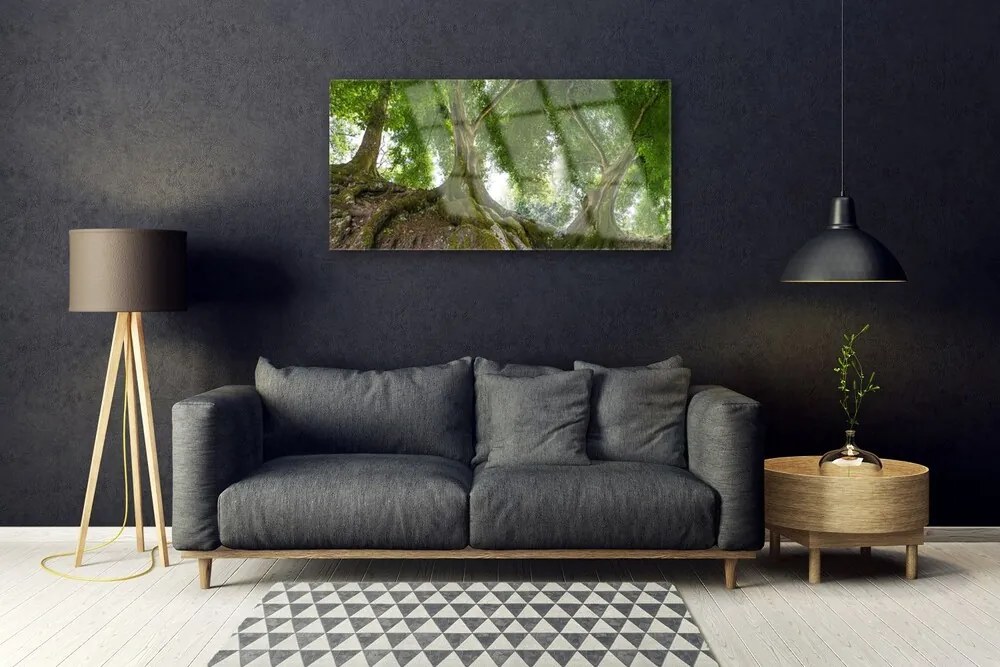 Skleneny obraz Stromy rastlina príroda 120x60 cm