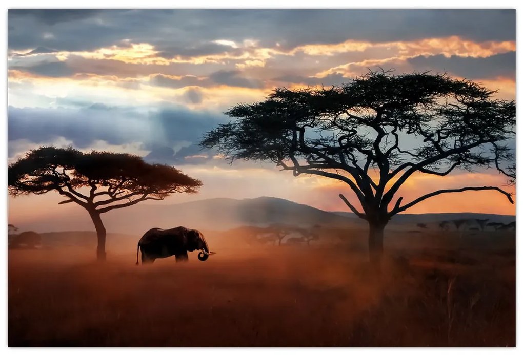 Obraz - Národný park Serengeti, Tanzánia, Afrika (90x60 cm)