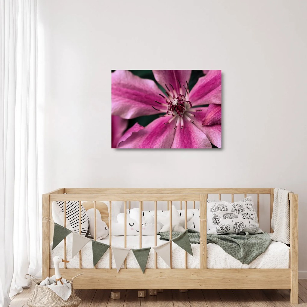 Sklenený obraz ružového kvetu plamienku (70x50 cm)