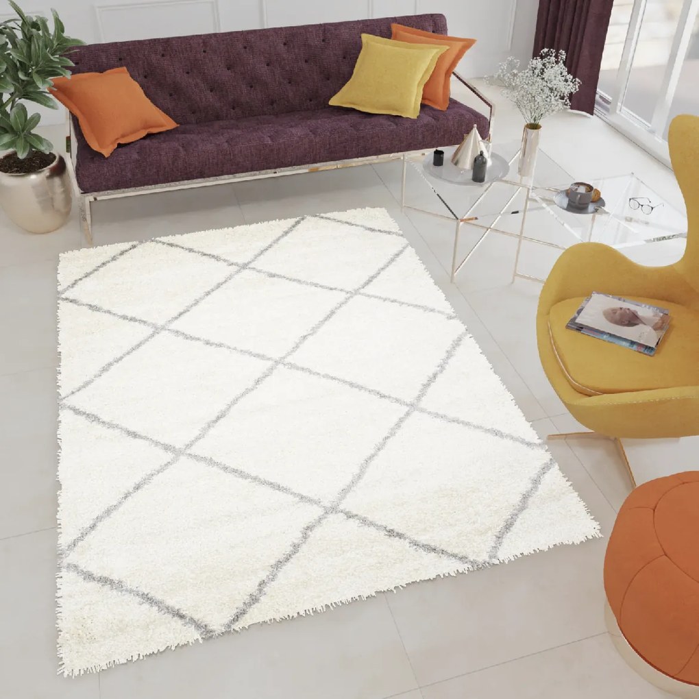 Dizajnový koberec LENNON - SHAGGY ROZMERY: 60x100