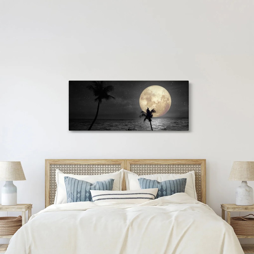 Obraz - Pláž za splnu v šedých tónoch (120x50 cm)