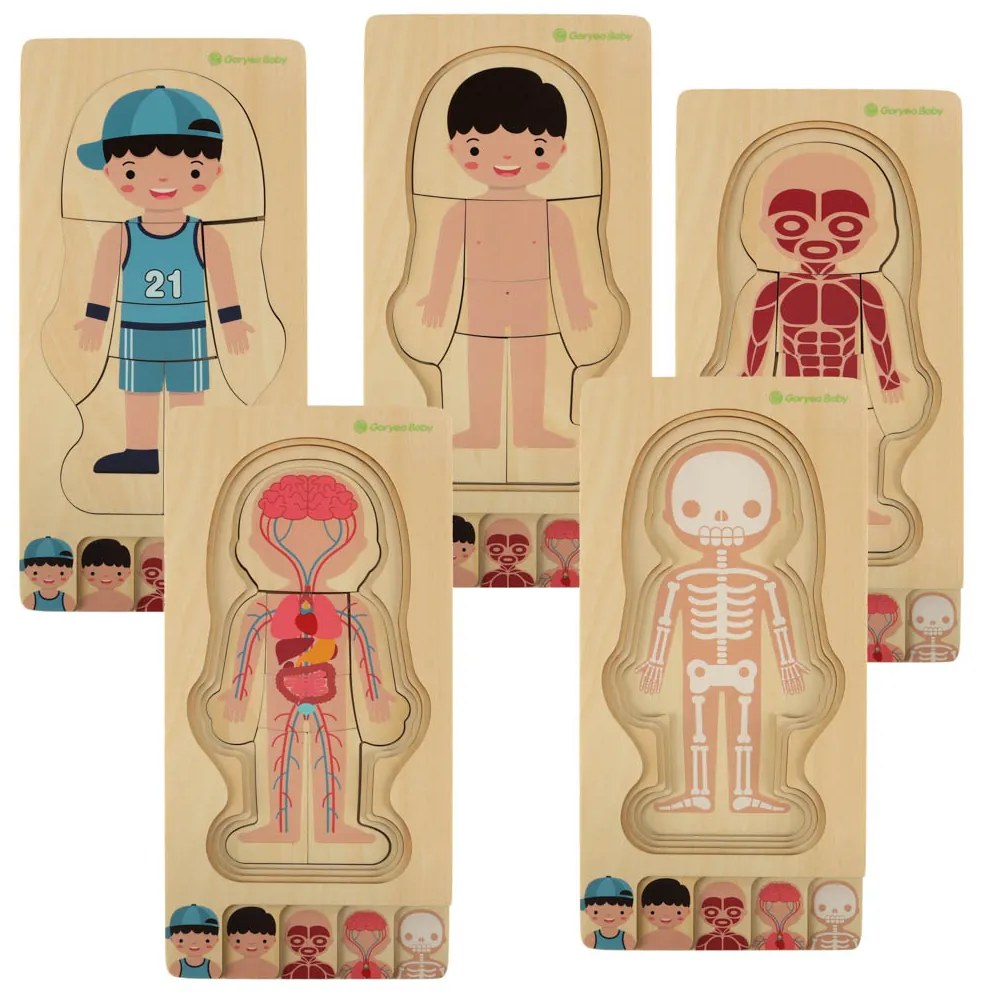 KIK Drevené Montessori vrstvené anatomické puzzle Ľudské telo 28 dielikov – vzdelávacie