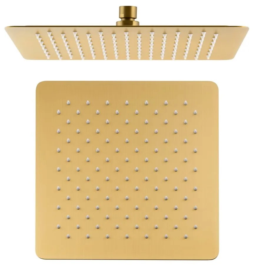 Hlavová sprcha z nehrdzavejúcej ocele v zlatej farbe Slim – Sapho