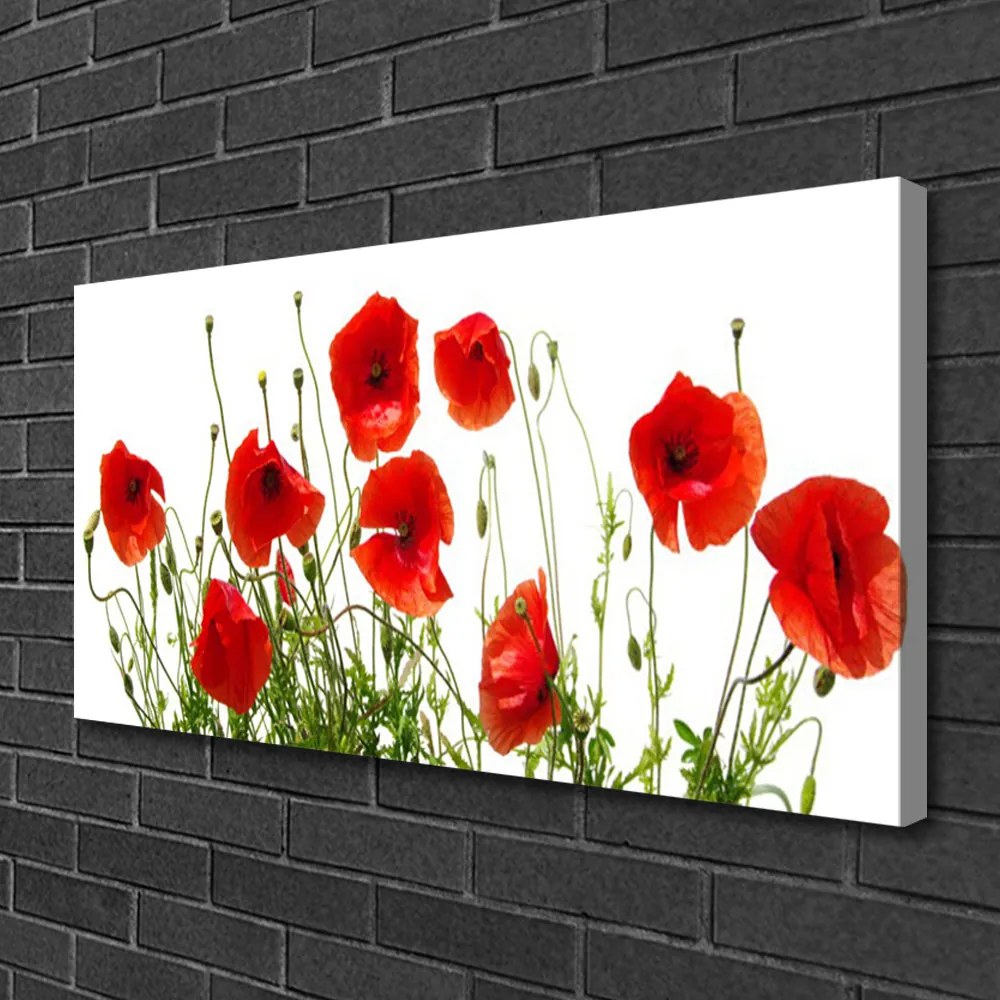 Obraz Canvas Maky kvety príroda 120x60 cm
