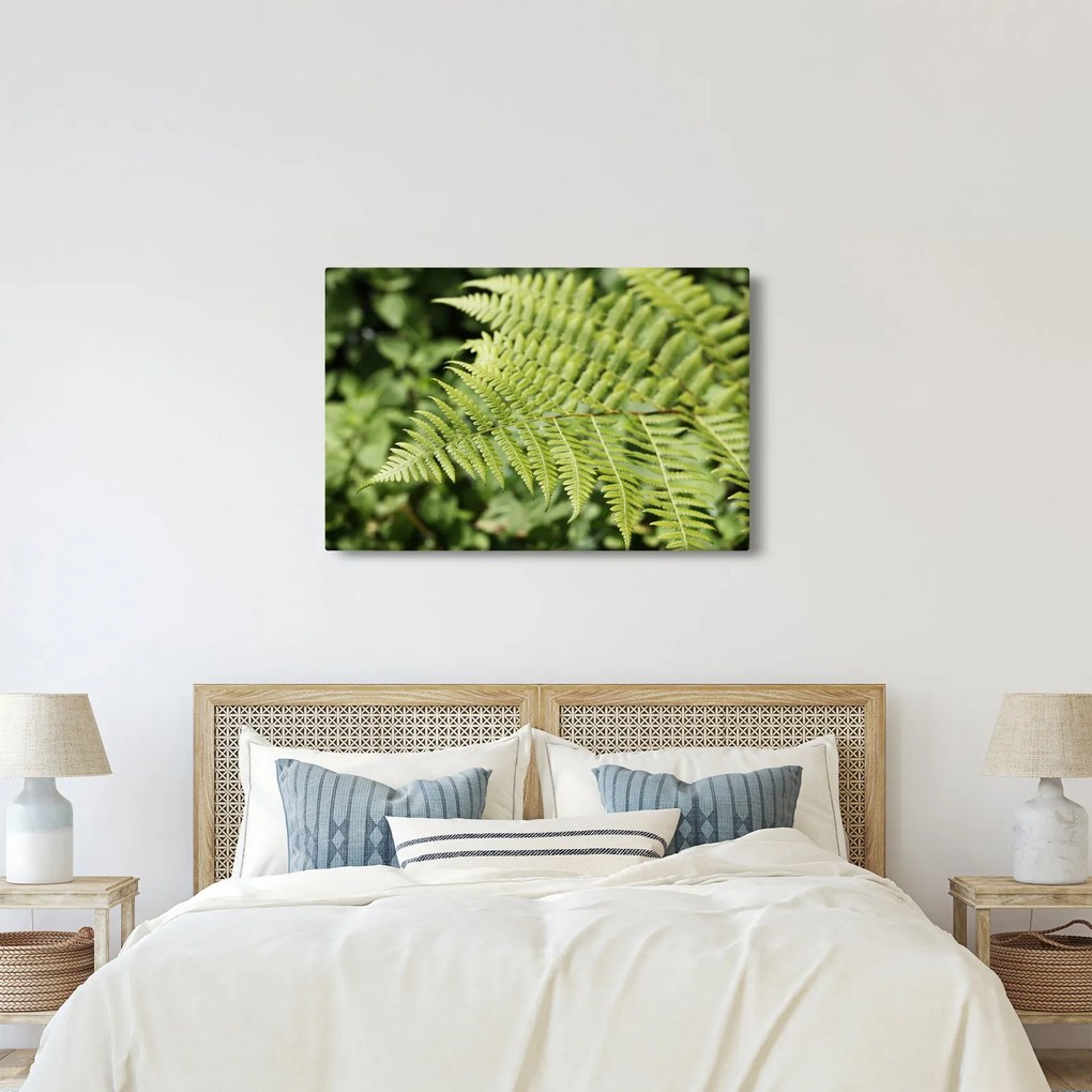 Obraz - Papradinový list (90x60 cm)