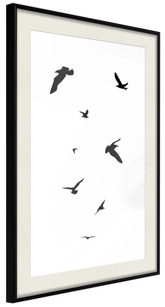 Artgeist Plagát - Evening Flight [Poster] Veľkosť: 30x45, Verzia: Čierny rám s passe-partout