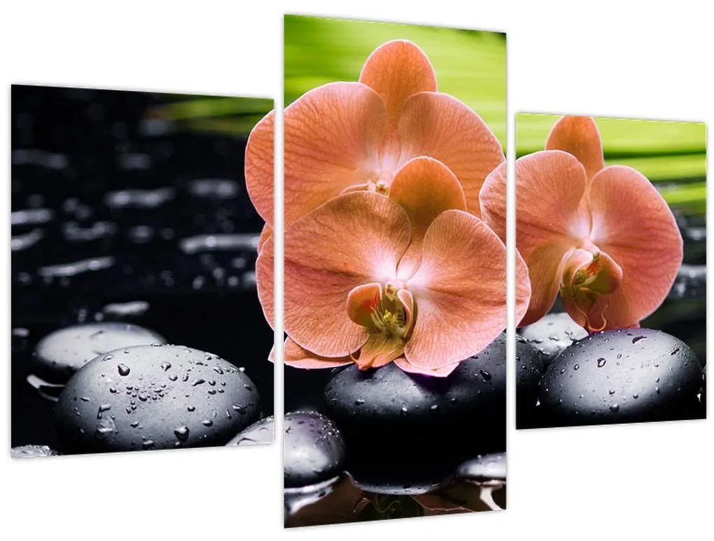 Obraz - Oranžová orchidea s palmovými listami (90x60 cm)