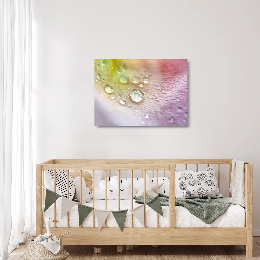 Sklenený obraz - Kvapky rosy (70x50 cm)