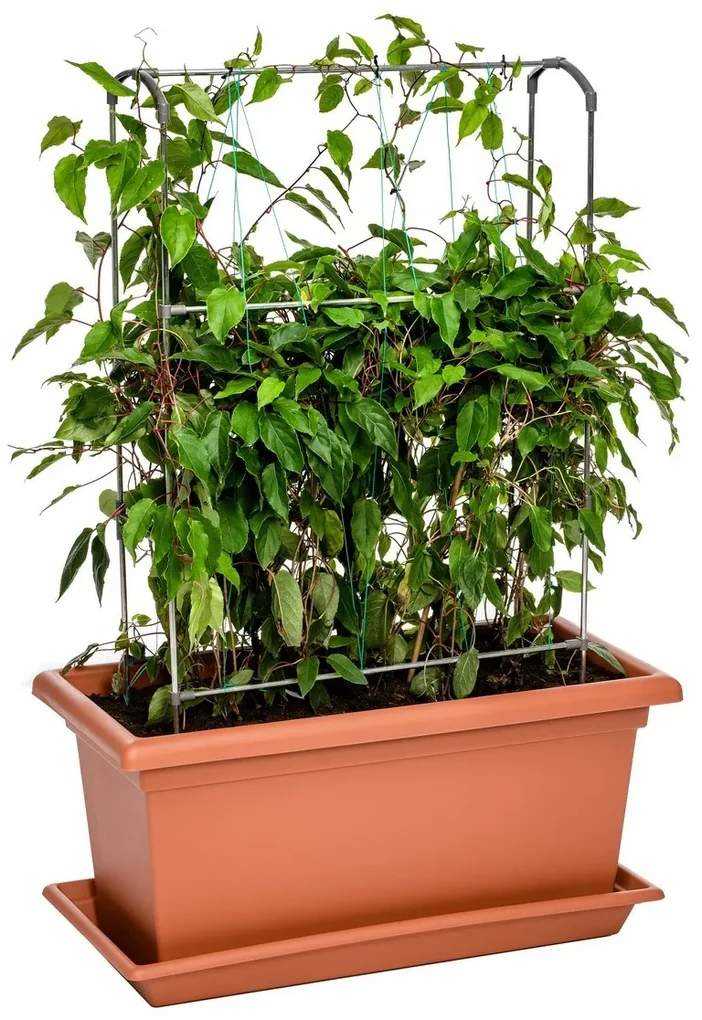 Gardenico Veľkoobjemový truhlík Magnus terakota, 80 cm, 80 cm