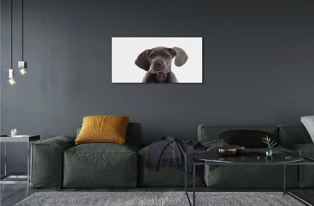 Sklenený obraz hnedý pes 140x70 cm