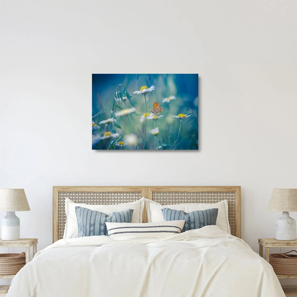 Sklenený obraz - Motýľ na sedmokráske (70x50 cm)
