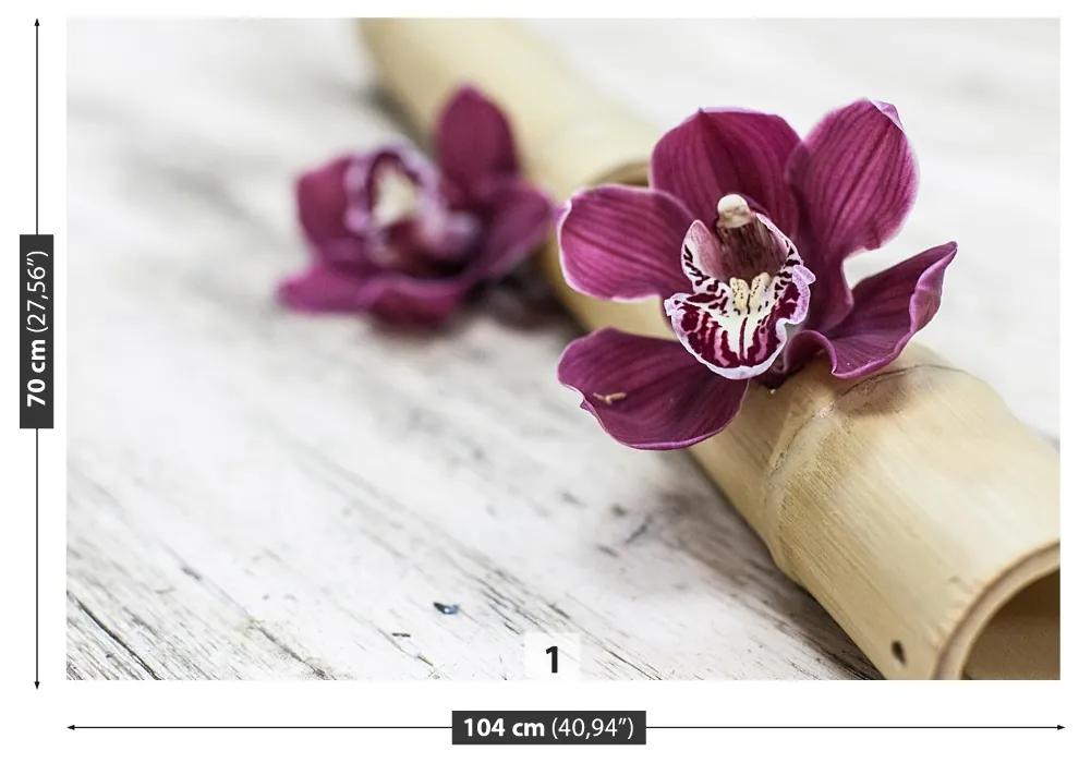 Fototapeta Vliesová Orchideovej drevo 312x219 cm