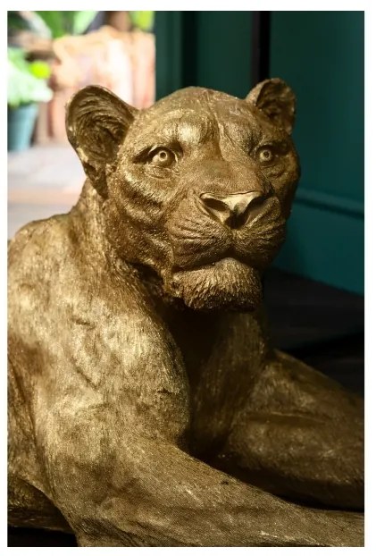 KARE DESIGN Dekoratívny predmet Lion zlatá 40 × 113 × 58 cm