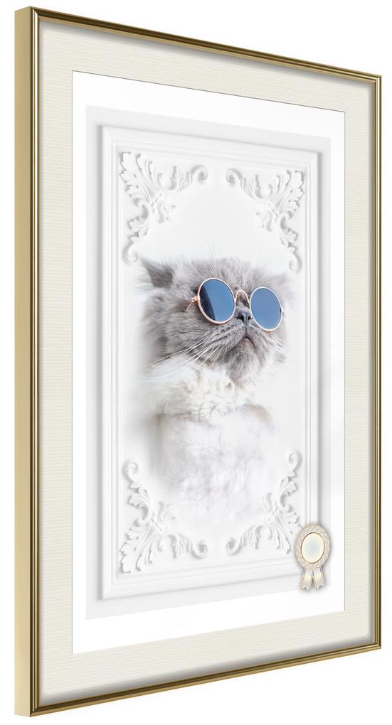 Artgeist Plagát - Cat with Glasses [Poster] Veľkosť: 40x60, Verzia: Čierny rám s passe-partout