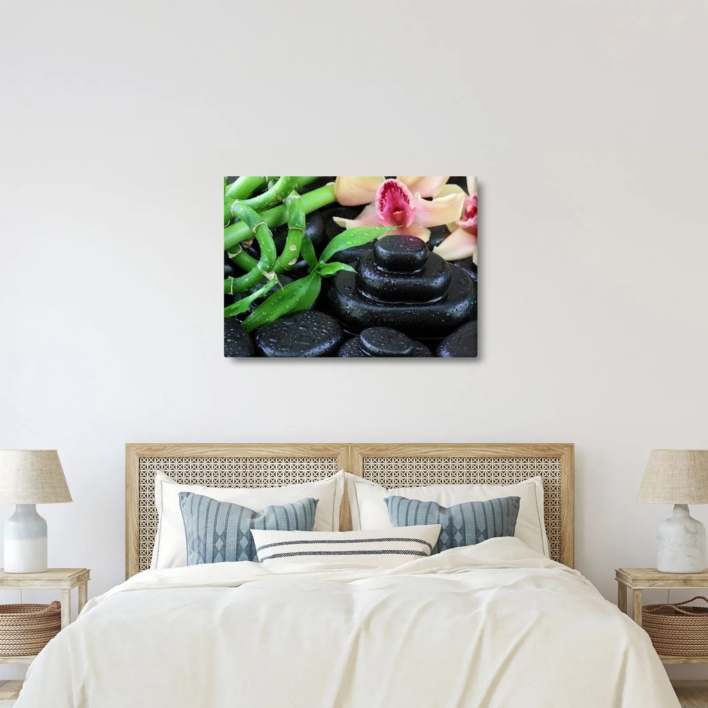 Obraz - Kamene a orchidey (70x50 cm)