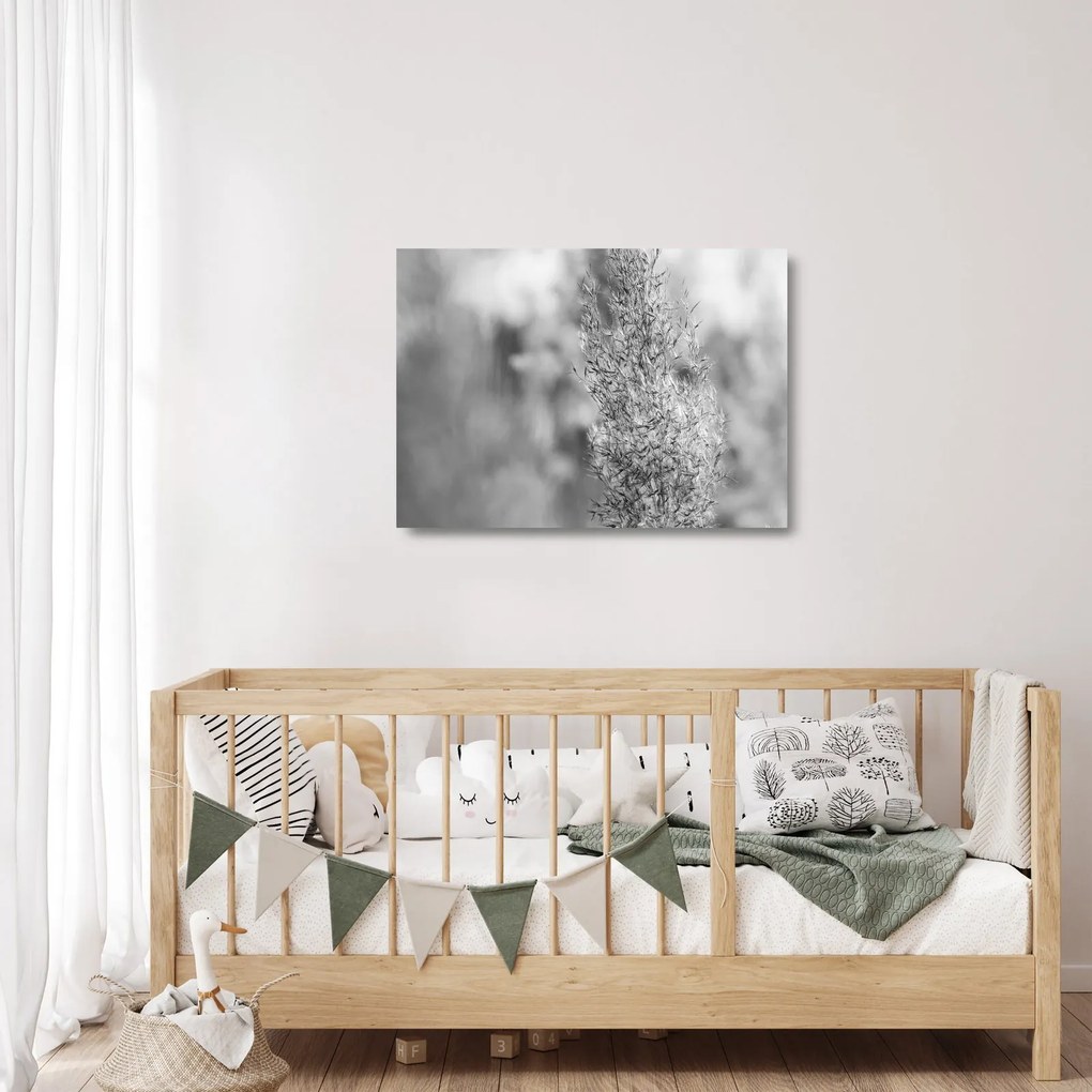 Sklenený obraz - Boho pampas grass (70x50 cm)