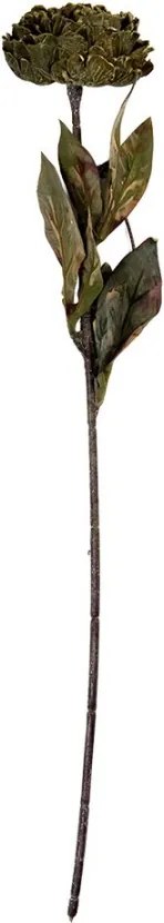 Zelená umelá dekorácia sušená kvetina pivonka - 10*10*65 cm