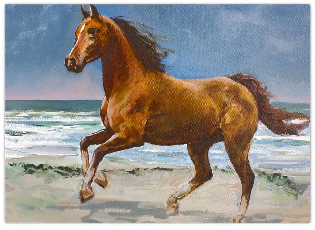 Sklenený obraz koňa na pláži (70x50 cm)