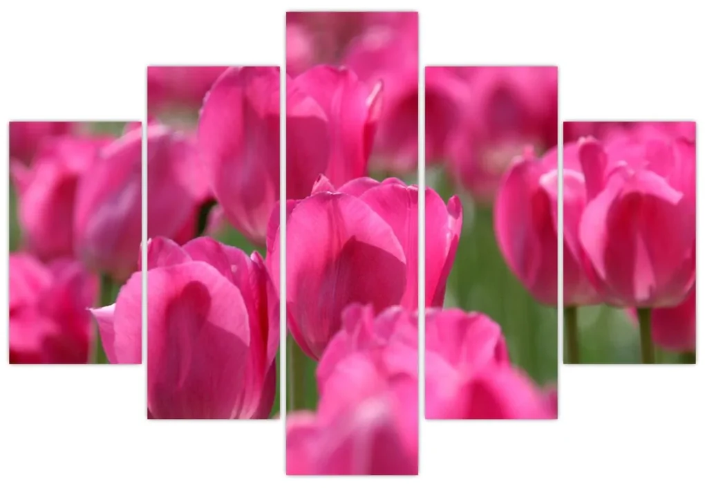 Obraz - Ružové tulipány (150x105 cm)