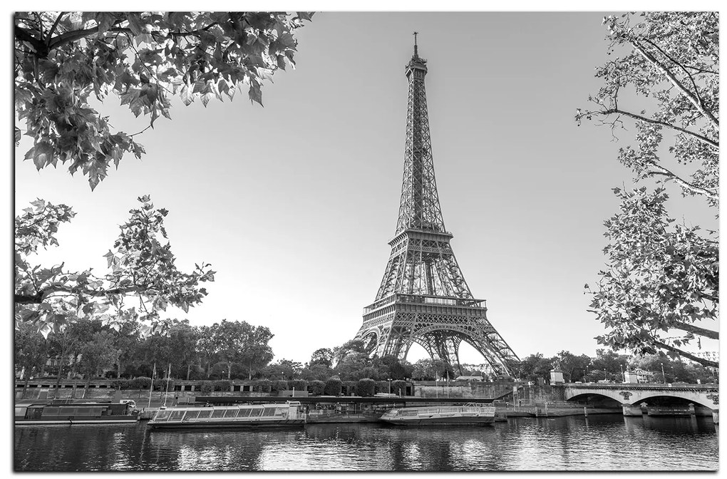 Obraz na plátne - Eiffel Tower 1110QA (90x60 cm  )