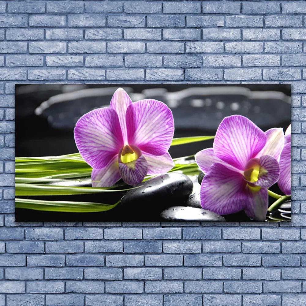 Obraz plexi Orchidea kamene zen kúpele 120x60 cm