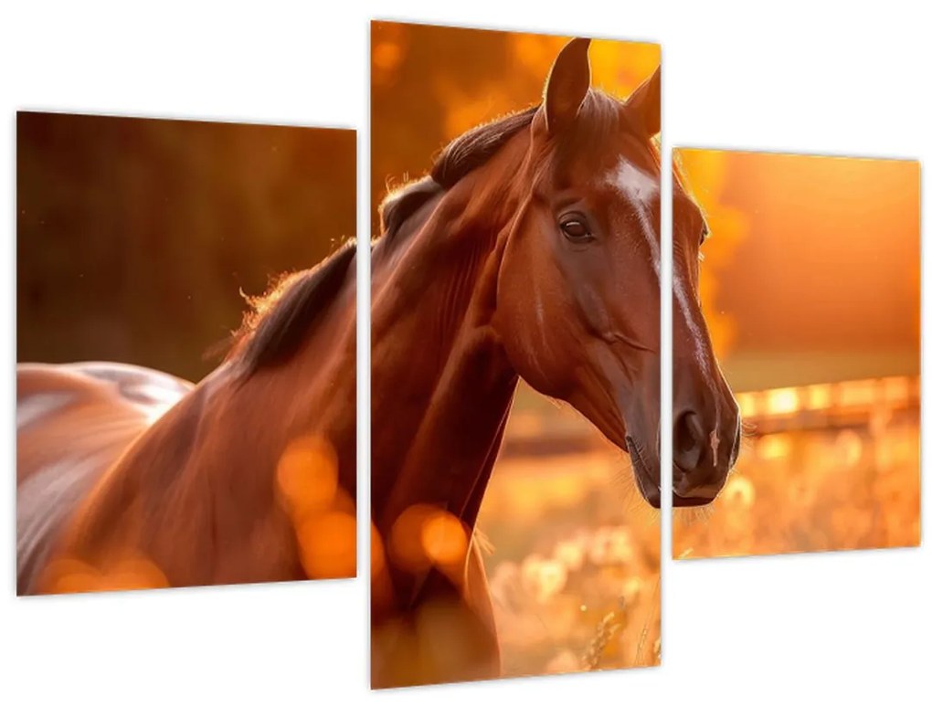 Obraz - Kôň v západe slnka (90x60 cm)