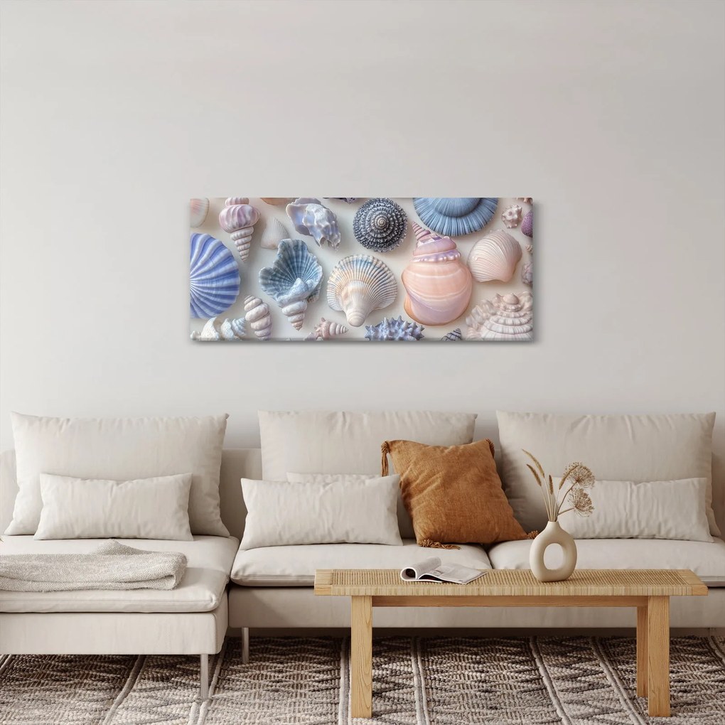 Obraz - Zbierka mušlí (120x50 cm)
