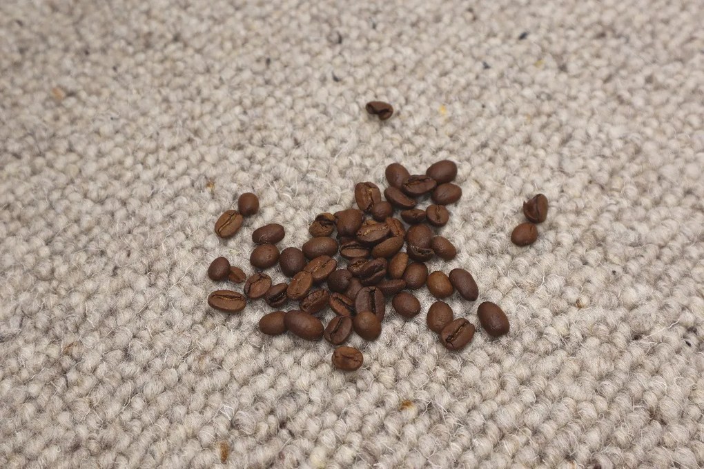 Avanti, Koberec metráž Alfawool 40 šedý, na mieru, šíře 4m,5m, šedá, ab (mriežka), obývacia izba