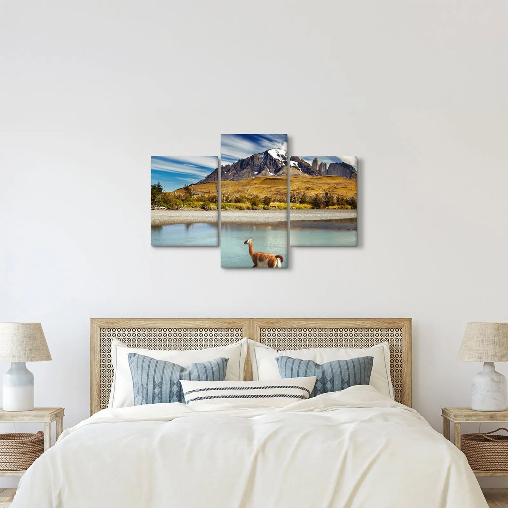 Obraz - Národný park Torres del Paine (90x60 cm)