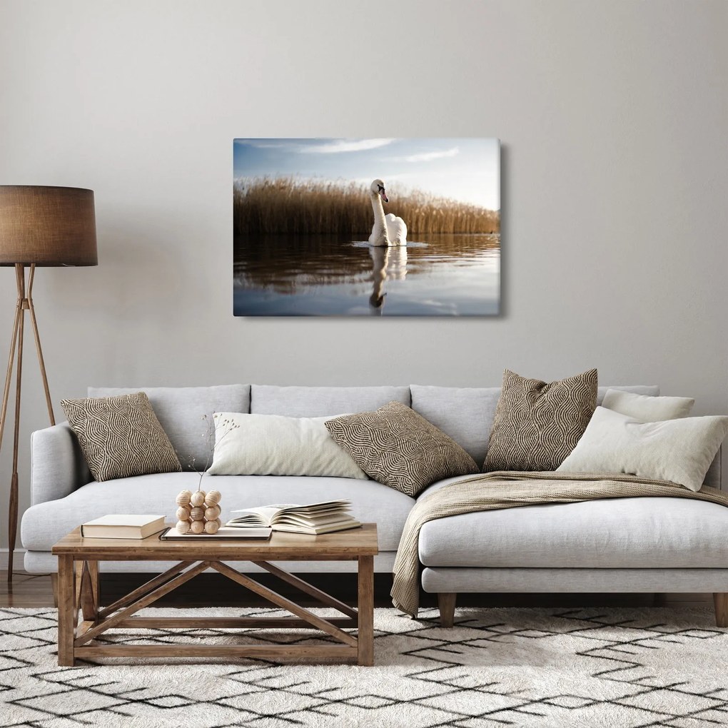 Obraz labute (90x60 cm)