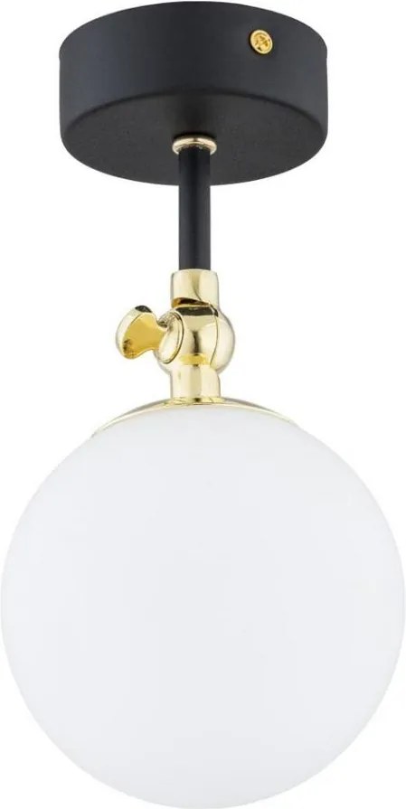 Argon 4003 - Kúpeľňový prisadený luster LATINA 1xE14/7W/230V IP44 čierna/mosadz