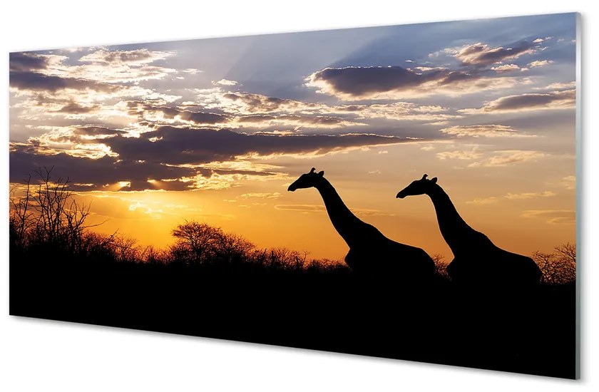 Nástenný panel  Žirafy strom mraky 120x60 cm