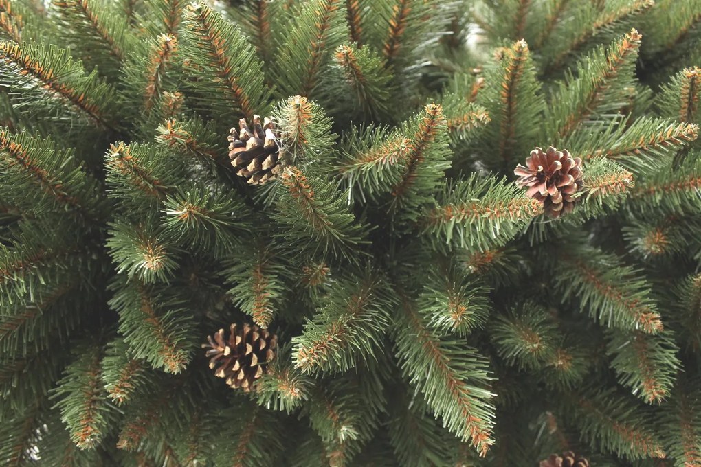 Vianočný stromček Smrek horský so šiškou 150 cm