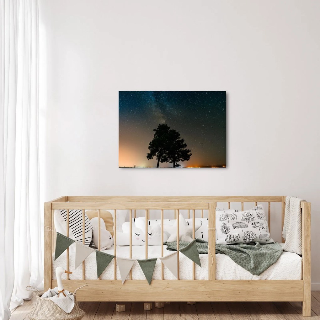 Obraz nočnej oblohy so stromami (70x50 cm)