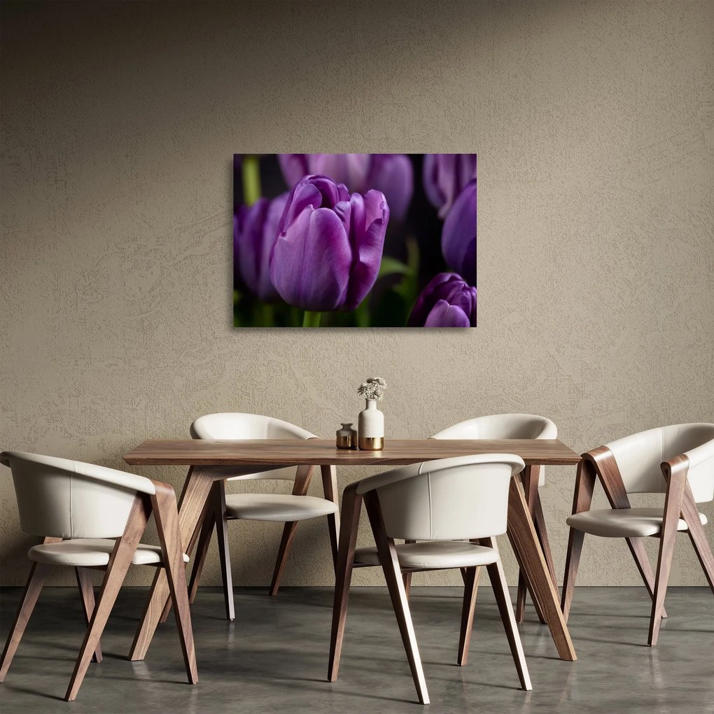 Sklenený obraz kvetov tulipánov (70x50 cm)