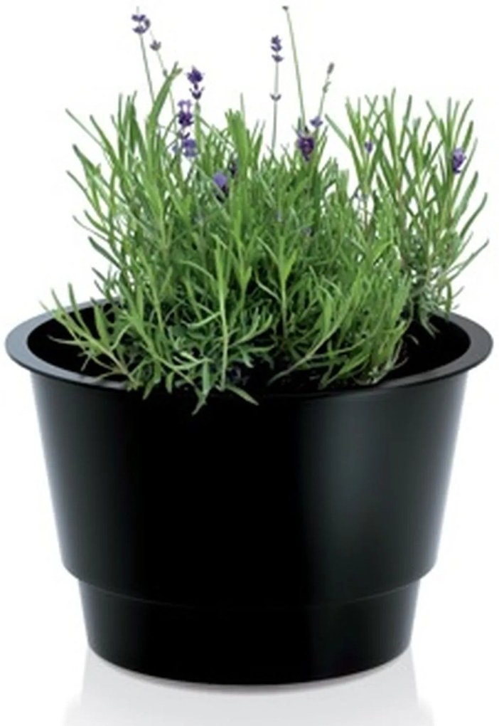 Prosperplast INSERT vložka do kvetináča 27,5x17,4cm IWKO280