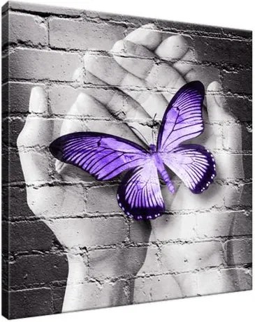 Obraz na plátne Fialový motýľ na dlaniach 30x30cm 2389A_1AI