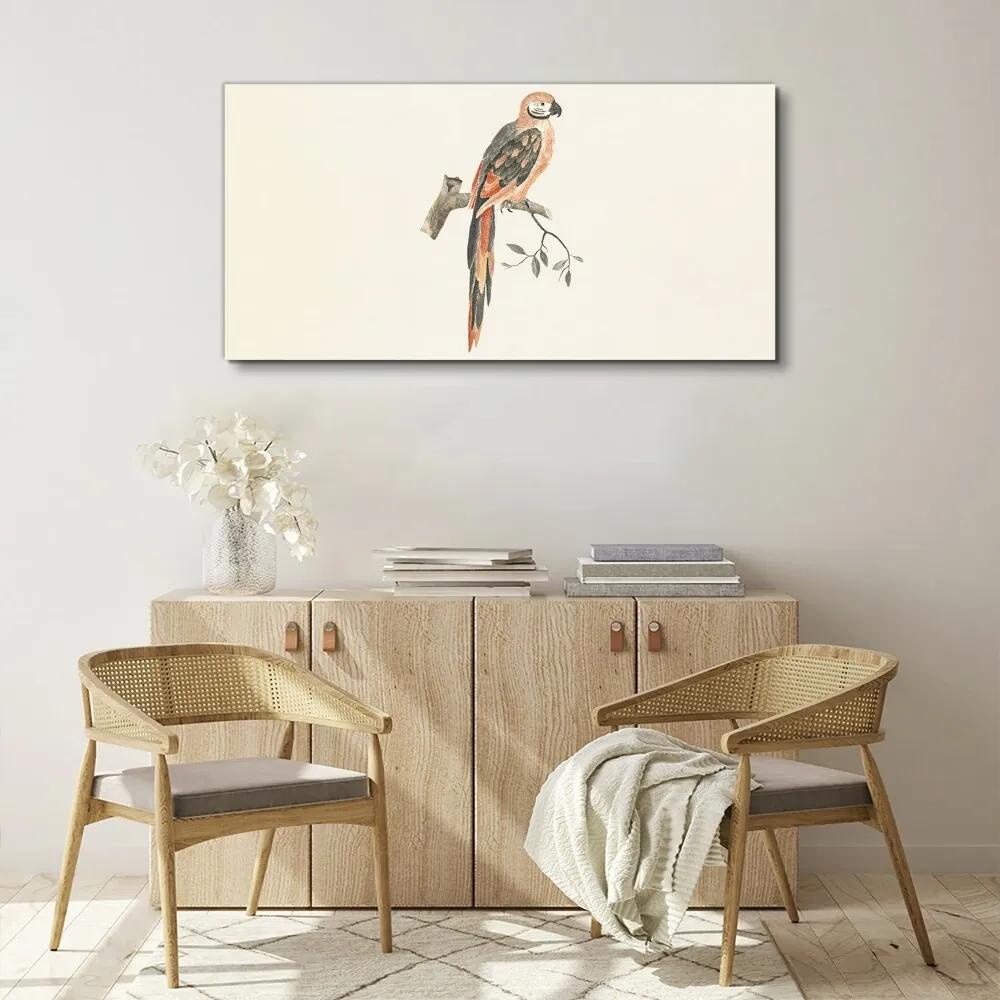 Obraz na plátne Zvieracie vták pobočka