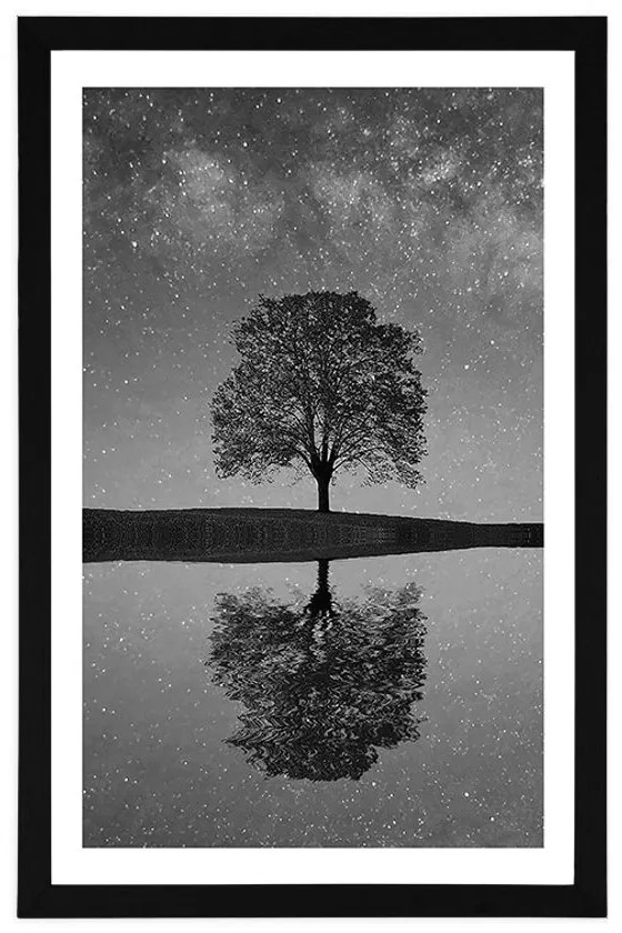 Plagát s paspartou hviezdna obloha nad osamelým stromom v čiernobielom prevedení - 30x45 black