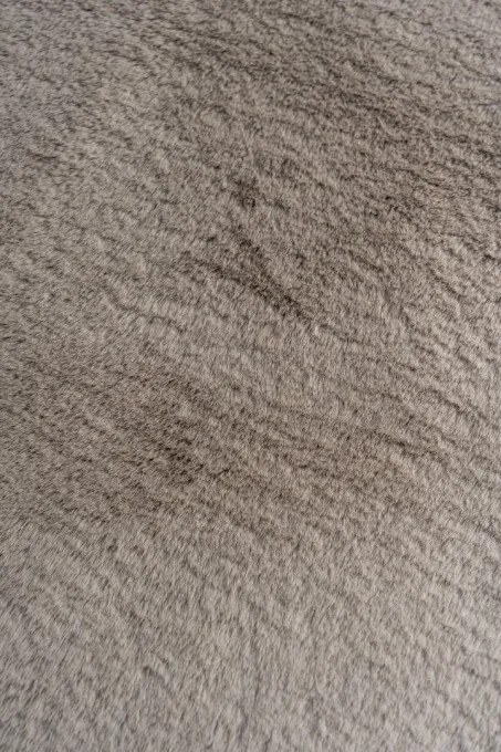 Koberec SHAGGY MOYO 1 béžový