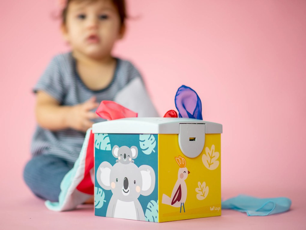 Box so šatkami Koala Kimmi