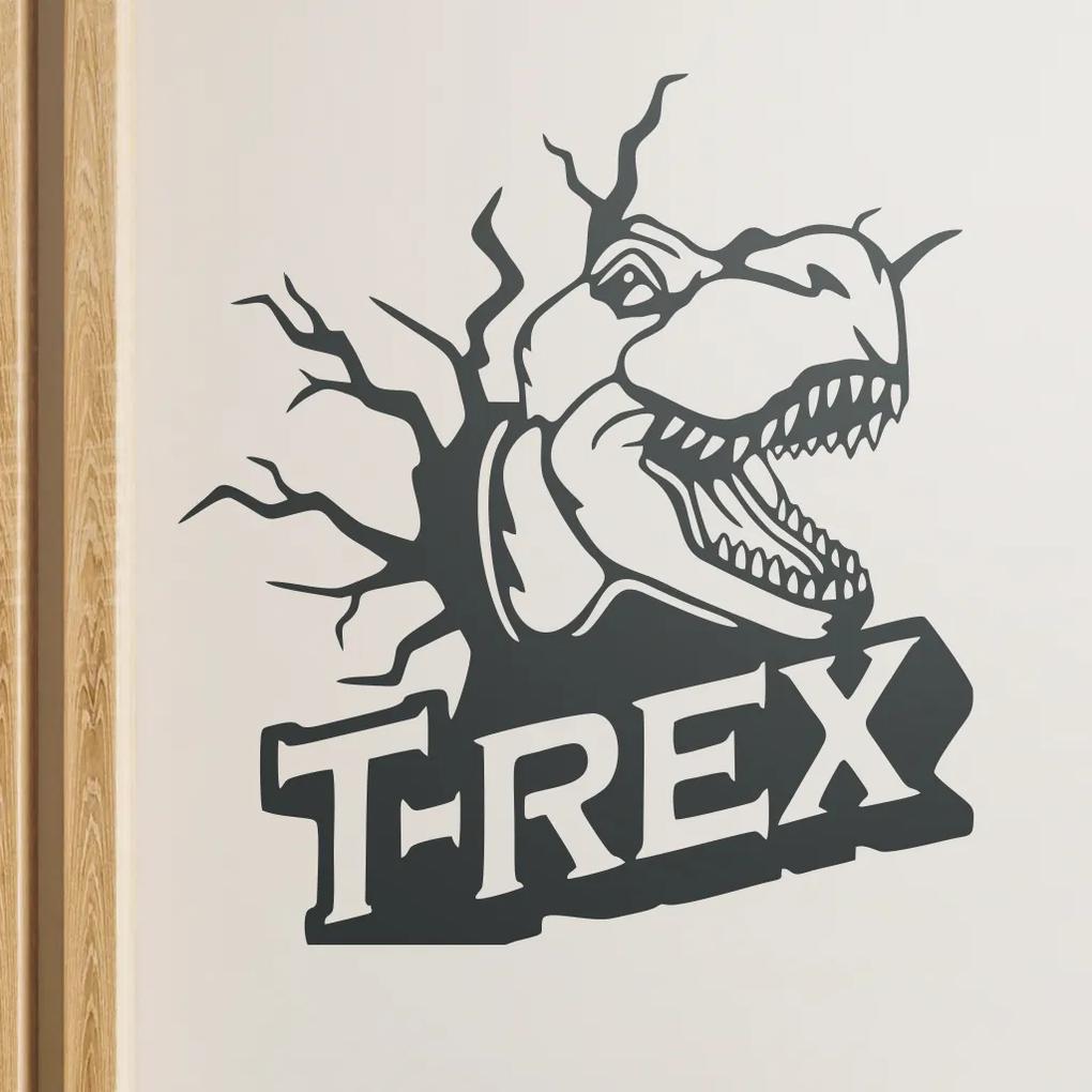 Veselá Stena Samolepka na stenu na stenu Dinosaurus T-REX Farba: čierna