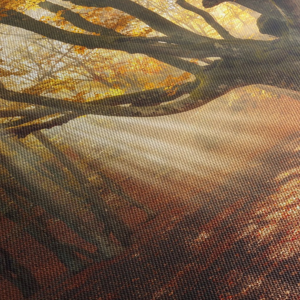 Obraz - Jesenný svit (120x50 cm)