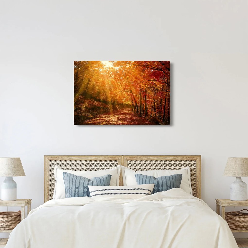 Obraz jesenného lesa (90x60 cm)