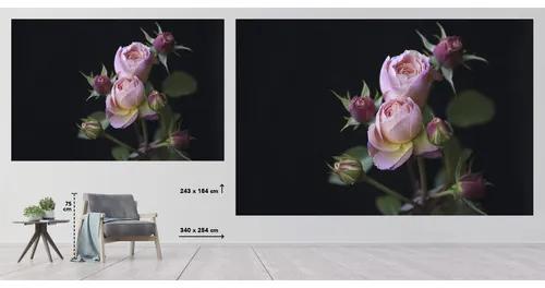 Fototapeta vliesová Ruže 340x254 cm