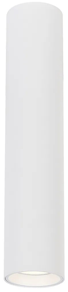 Stropné svietidlo Genesis, 1x biele kovové tienidlo, (30 cm)